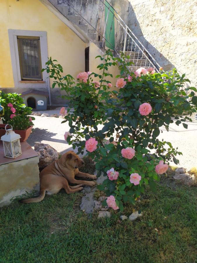 Il giardino dei semplici B&B Caulonia Esterno foto